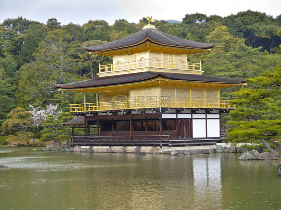 日本京都金宫寺金殿公园季节历史宗教文化旅行建筑学花园地标旅游图片