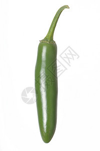 孤立的塞拉诺胡椒香料工作室蔬菜辣椒食物文化活力植物燃烧烹饪图片