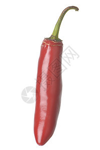 孤立的塞拉诺胡椒香料活力烹饪辣椒植物燃烧工作室食物水果文化图片