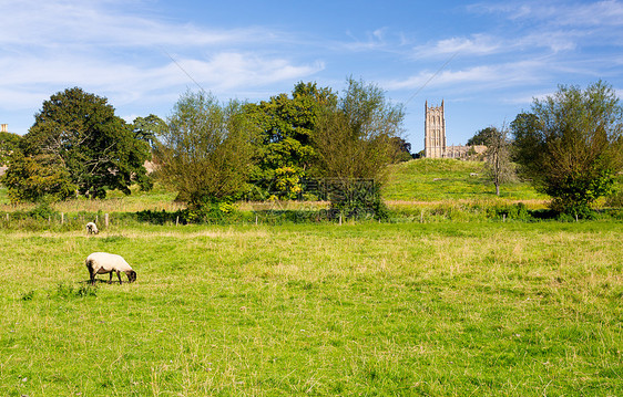 在穿过草地的圣詹姆斯教堂历史性建筑国家动物农村羊肉农场场景旅游乡村图片