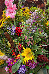 鲜花和草药的美丽花束装饰植物群橡子橙子季节大麦植物草本植物翠菊作品图片
