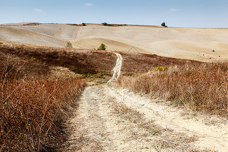 意大利托斯卡纳蒙塔尔奇诺附近托斯卡纳乡村的风景路奇诺天空孤独旅游小麦农场旅行风景场地土地图片