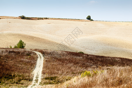 意大利托斯卡纳蒙塔尔奇诺附近托斯卡纳乡村的风景路旅游农村小麦孤独季节假期爬坡旅行收成国家图片