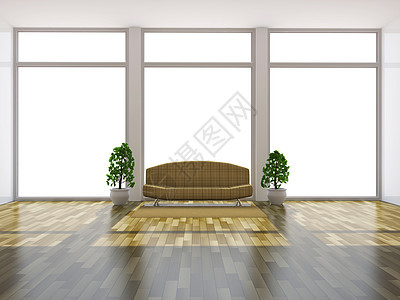 沙发和植物房子奢华地毯反射装饰夫妻生活地面摄影财产图片