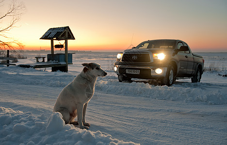 狗在路上等着卡车犬类机械宠物运输汽车气候机器车辆朋友图片