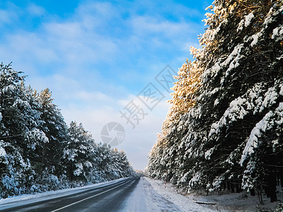 冬季森林中天气季节蓝色车道水平沥青旅行地平线天空公园图片