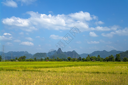 农村地貌农业植物旅行季节岩石农场谷物太阳场地地平线图片