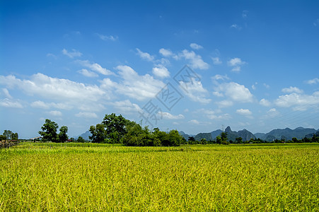 老挝的德黑克附近的田野森林太阳场地建筑草地旅行岩石季节植物地平线图片