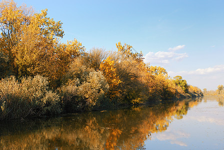特定自然季节的秋季河图片