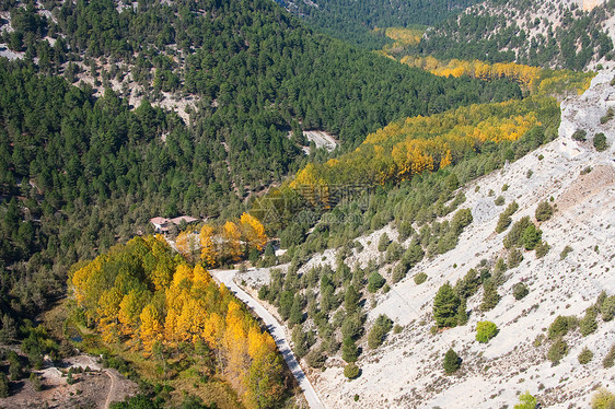 河流狼峡谷 索里亚 卡斯蒂利亚和里昂 西班牙石头夹子岩石树木狼群绿色自然公园图片