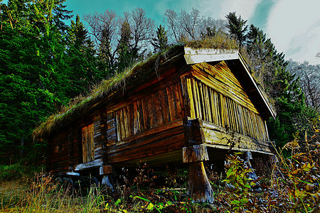 旧木材机舍森林博物馆木头天空草皮图片