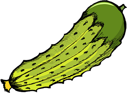 黄瓜农业白色食物美食蔬菜卡通片水果插图图片