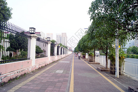 城市人行道旅游绿化交通景观行道图片