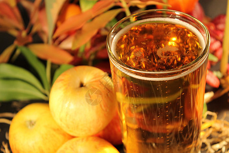 苹果酒饮料酒精水果食物液体水晶瓶子反射果汁乡村图片