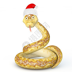 2013年蛇蛇动物年头尾巴白色爬虫捕食者毒蛇吉祥物语言情调图片
