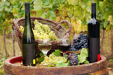 红色酒瓶和白葡萄酒瓶瓶子绿色酒杯玻璃饮料白色棕色黄色篮子葡萄园图片