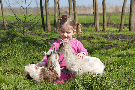 两个小山羊宠物和孩子图片