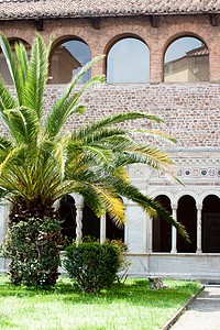 棕榈树院子对角线衬套玻璃建筑建筑学窗户教会灰色绿色图片