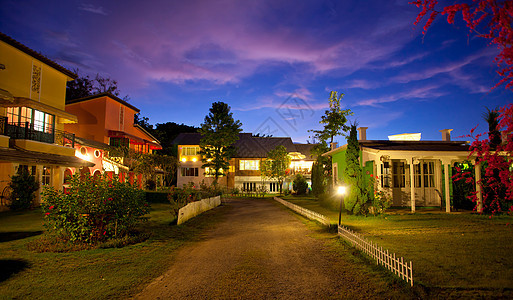 意大利家庭风格树叶花园生长叶子植物村庄房子酒店天空日出图片