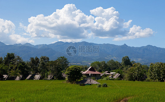 绿田村农场蓝色木头国家建筑乡村房子岩石叶子场地图片