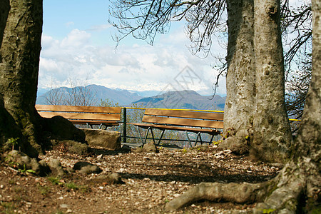 从瑞士山顶和平的景色看一看图片