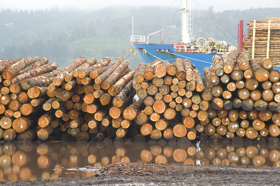 伐木造船厂图片