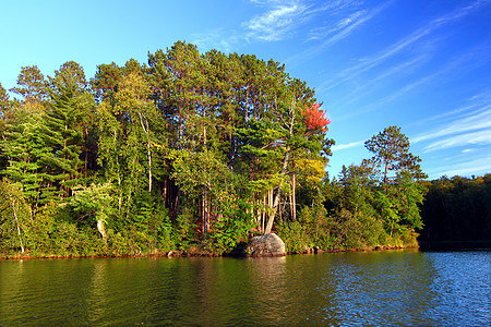 斯维尼湖北伍德斯威斯康星州高地科学生物学反射天空荒野植被栖息地森林生物图片