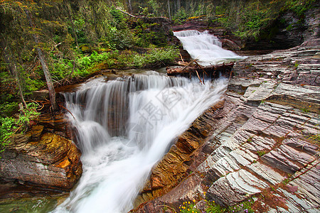 冰川国家公园瀑布急流地形生态森林树林溪流国家瀑布风景绿地图片