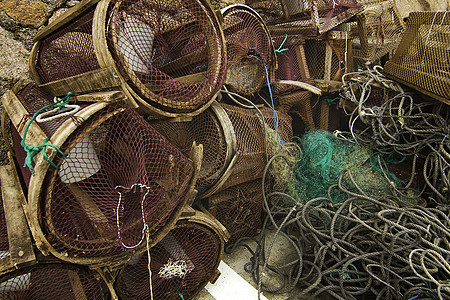 克里鱼和渔网捕捞图片