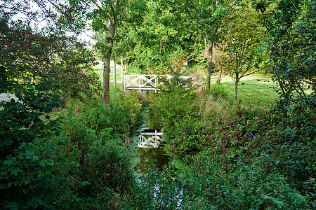河上小型木桥花园树木活动人行道森林行人闲暇天桥场景木头图片
