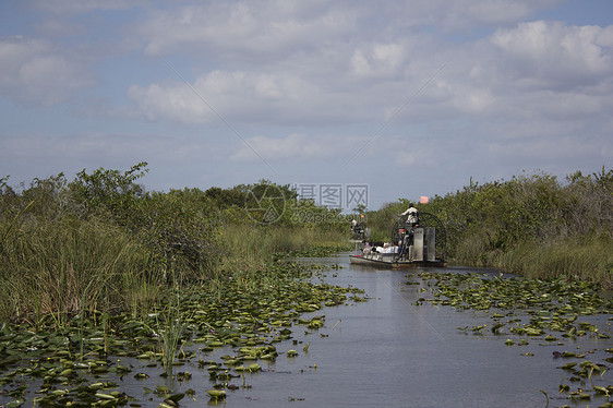空中船只保护区湿地叶子气泵扁舟运输汽艇植物热带公园图片