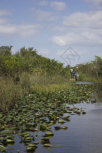 空中船只螺旋桨沼泽湿地气候公园红树林休闲乘客扁舟植物图片