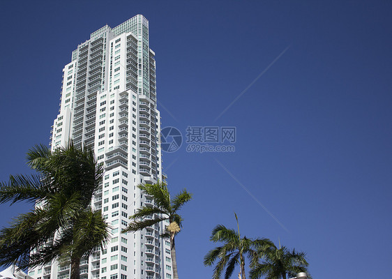 佛罗里达州迈阿密大楼办公楼日落建筑学风光旅游建筑公寓结构金子摩天大楼图片