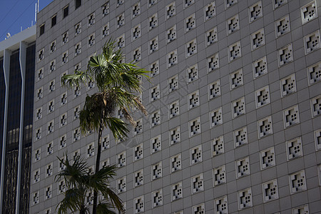 佛罗里达州迈阿密大楼城市生活都市风光热带商业日落城市建筑外观金子图片