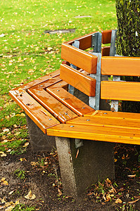 秋季公园长椅场景木头休息花园环境树叶叶子小路座位家具图片