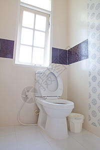 家庭冲洗厕所卫生窗户便秘浴室地板卫生间腹泻地面房间洗手间图片