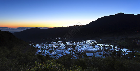 池云南省元阳田稻田的日出农场稻田食物旅行生长梯田游客爬坡地区反射图片