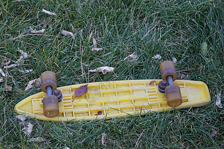 滑板运动季节黄色季节性背景图片