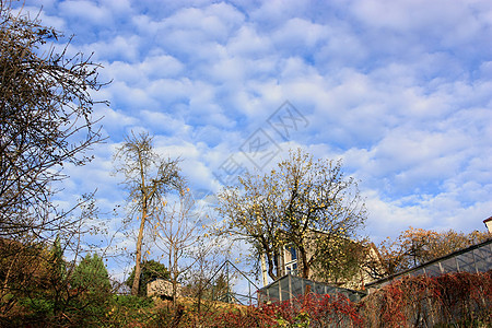 飞云和城市园圃图片