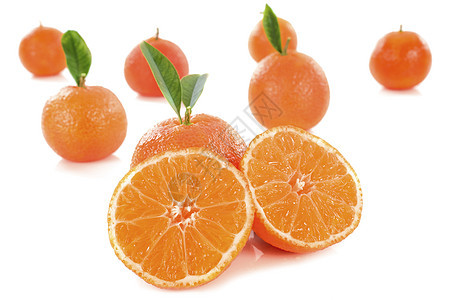 橘红色食物水果工作室橘子团体叶子橙子图片
