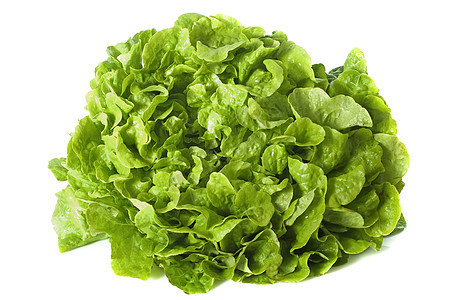 绿色沙拉工作室食物蔬菜图片