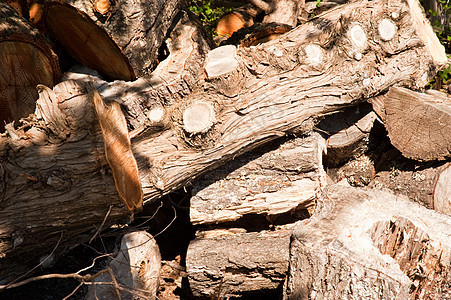 木柴堆圆形材料储存木材弯曲硬木圆圈柴堆库存树干图片