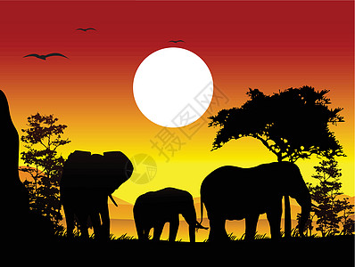 大象之旅的美丽光彩图片