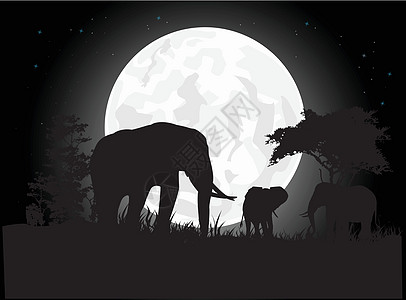 草原月亮大象之旅的光影设计图片