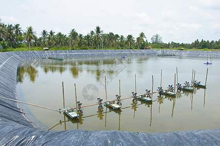 水中的通风涡轮机农民力量鱼虾池塘农场活力车轮建筑空气涡轮图片