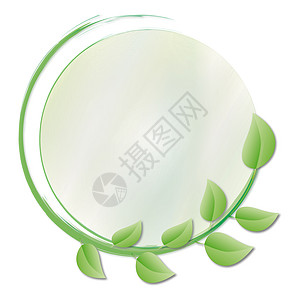 圆玻璃绿叶圆草药插图生态药品生物甲醛发芽艺术成长花园背景