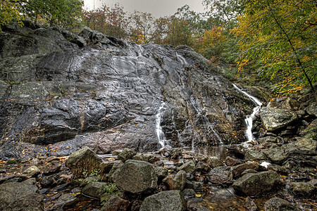 岩流荒野岩石旅游溪流旅行生态墙纸环境叶子风景图片