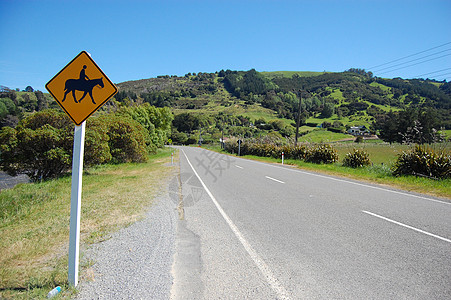 新西兰骑着黄路标志的赛马车高清图片
