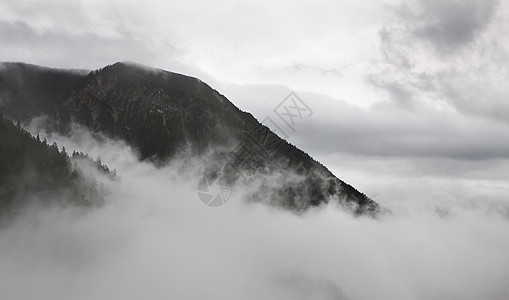 雾中山上拾起图片