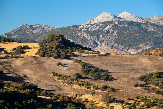 安达卢西亚山脉和田地图片